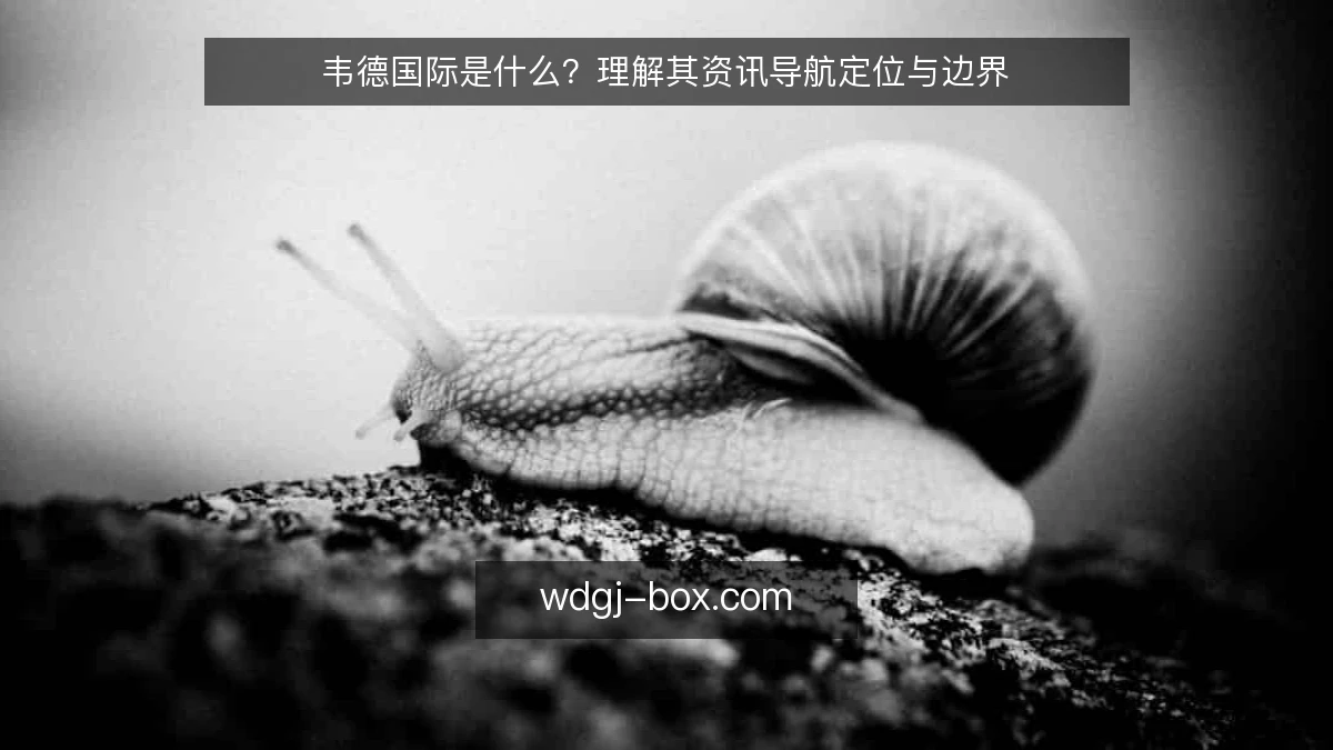 韦德国际是什么?理解其资讯导航定位与边界