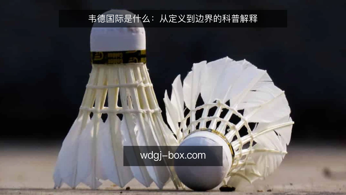韦德国际是什么：从定义到边界的科普解释