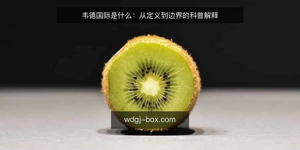 韦德国际是什么：从定义到边界的科普解释 — 韦德国际到底指什么 配图