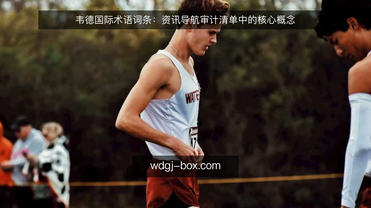 韦德国际术语词条:资讯导航审计清单中的核心概念