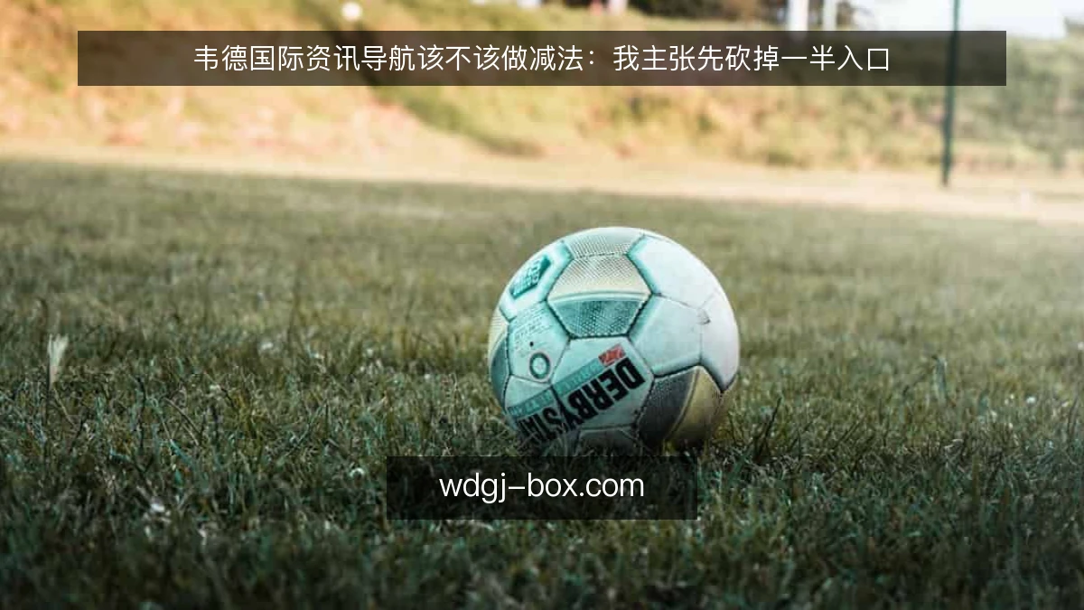 韦德国际资讯导航该不该做减法:我主张先砍掉一半入口